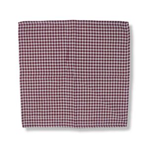 Red Gingham Napkins